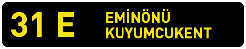 31E