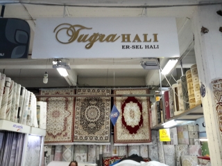 ERSEL HALI