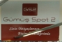 GÜMÜŞ SPOT 2